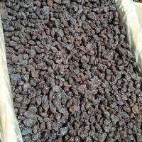 کشمش بیدانه آفتاب خشک