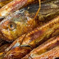 ماهی دودی و اشپل شور و ماهی شور اشپل دار