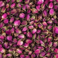 فروش غنچه
