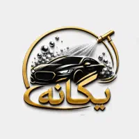 استخدام نیرو کارواش