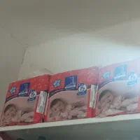 پوشک|اسباب و اثاث بچه|زابل, |دیوار