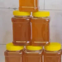 عسل اشنویه
