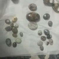 سنگ ونگین شجر و باباقوری