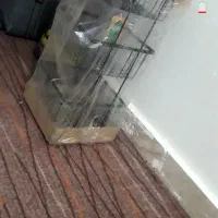 سبدجاسیب زمینی وپیاز