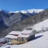 همراه سالمندبه به