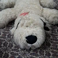 تعدادی وسایل پسرانه|اسباببازی|اصفهان, باتون|دیوار