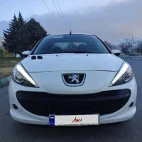 اجاره خودرو/اجاره ۲۰۷