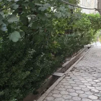 45-متر-آپارتمان-شهرک-ناز