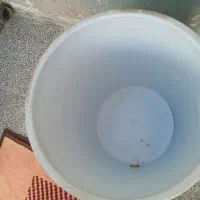 کلمن|ظروف نگهدارنده، پلاستیکی، یکبارمصرف|شیراز, گلکوب|دیوار