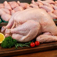 بمب اول هفته،ران فقط ۹۹|خدمات پذیرایی، مراسم|یزد, |دیوار