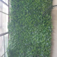 گرین وال|گل مصنوعی|ایلام, |دیوار