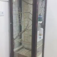 قفس بوفه