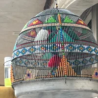 سهره خاکی قرص بخون