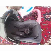 یک عدد رورویک و کریر