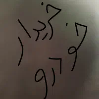 ماشین به قیمت اسنم