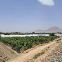 باغ-3300-متری-جوهرستان-مبارکه-مناسب-برای-گلخانه