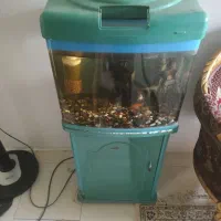 آکواریوم کمدی