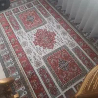 فرش قایچه|فرش|مشکین‌دشت, |دیوار