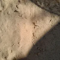 فروش خاک اره نجاری برای زغال