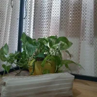 جامدادی دست ساز چرم مصنوعی عالی
