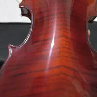 ساز ویولن تی اف|ویولن|اصفهان, باغ زرشک|دیوار