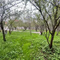 خونه ویلایی ۷۵۰متری صفر کلید نخورده|فروش خانه و ویلا|رشت, معلم|دیوار