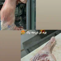 سوپر گوشت رضا ارزانترین قصابی در خراسان|خوردنی و آشامیدنی|بجنورد, |دیوار