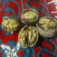 گردوی تازه