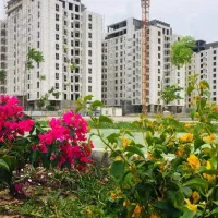 نیک ترابر فاز 3 واحد 100 متری دوخواب