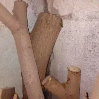 فروش چوب درجه یک