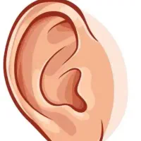 تشخیص بیماری های شما از طریق عکس گوش