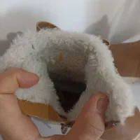 پوتین بچگانه سایز ۲۲ نو  اصلا نپوشیدم|کفش و لباس بچه|کلاردشت, |دیوار