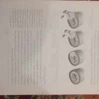 کتاب|کتاب و مجله آموزشی|گنبد کاووس, |دیوار