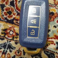 ریموت فیدلی