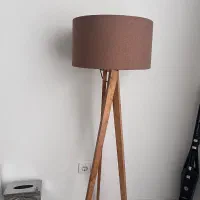 اباژور ایستاده