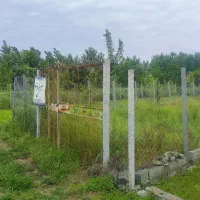 200متر زمین دریاسر|فروش زمین و ملک کلنگی|شلمان, |دیوار