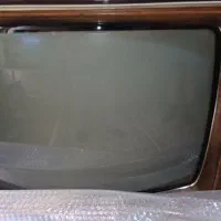 تلویزیون