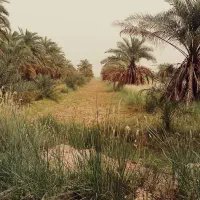جاده اهواز آبادان روستای ام الحجار