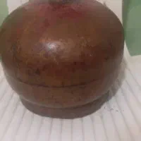 پنکه سقفی و پیکنیک یک قلو و میز تلویزیون سالم|پنکه و تصفیهکنندهٔ هوا|زابل, |دیوار