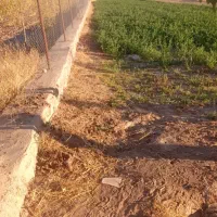 زمین کشاورزی