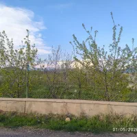 قطعه باغ در روستای زین آباد