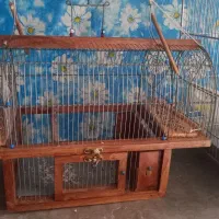 قفس شکاری سهره