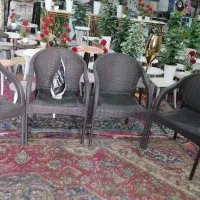 پخش صندلی شرکتی تمام حصیری ( تک و عمده)