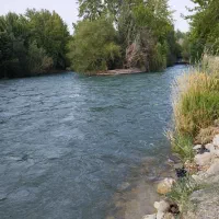 تور یک‌روزه باغ‌بهادران ویژه بانوان