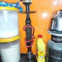 قلیون ۷ ساله