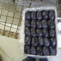 رطب مضافتی