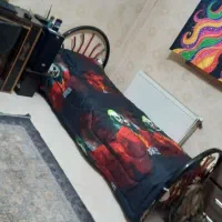 تخت یک نفره فرفرژه