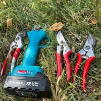 هرس کار باغ سیب و....|خدمات باغبانی و درختکاری|ترکمانچای, |دیوار