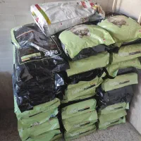 فروش رفلکس اورجینال