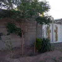 خانه-باغ-دولت-آباد-بهرامجرد-بردسیر